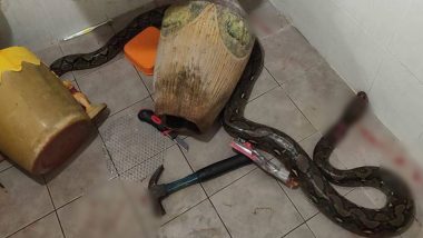 Thailand: Mother Fights Off Huge Snake That Bit Her, Injures Self While Slashing It With Cutter! (View Pic)