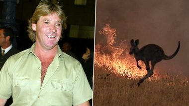 Australia Bushfires: Animated Sketch of Steve Irwin Welcoming All Dead Animals to Heaven Will Tug Your Heartstrings (View Viral Pic)