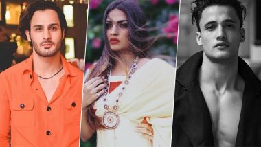 Bigg Boss 13: Was Umar Riaz The 'One' Who Told Himanshi Khurana To Not Commit To Asim Riaz? Bigg Boss Contestant's Brother CLARIFIES Statement