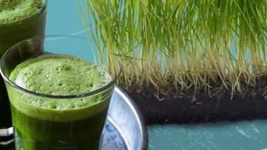 Weight Loss Tip of the Week: How to Use Wheatgrass to Lose Weight (Watch Video)