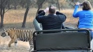 Travel Tip of the Week: Top Jungle Safari Destinations in India to Experience The Best of Wildlife