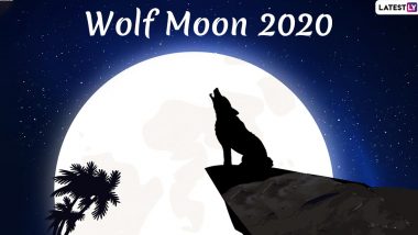 Wolf Moon 2020 Date and Timings: Know Everything About January's Full Moon That Coincides With Penumbral Lunar Eclipse