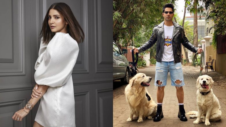 Anushka Sharma Takes A Dig At Varun Dhawan's Ripped Shorts, Asks If Dogs Bit Them Off (See Pic)