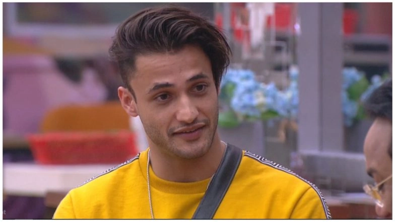 Bigg Boss 13: Here's a Recap of Asim Riaz's Ugly Fights in the House With Sidharth Shukla, Paras Chhabra and Others Ahead of the Finale (Watch Videos)