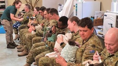 Australian Army Soldiers Display Their Soft Side by Feeding and Cuddling Koalas Rescued From the Bushfires (View Viral Pic)