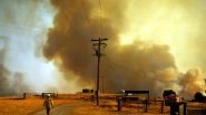 Australia Wildfires: Drivers Can Now Be Fined Up to $11,000 if Caught Tossing Lit Cigarette From Vehicle