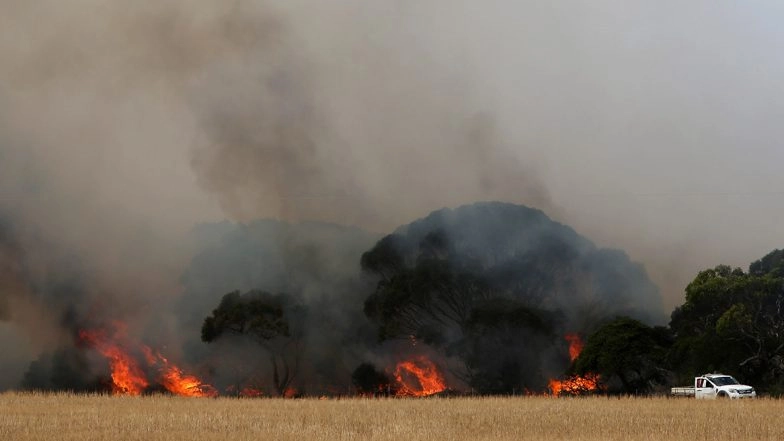 Australia Bushfire: 33 Dead Since September 2019, State of Emergency Declared For Canberra Region