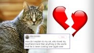 Woman&rsquo;s Cat Loved Her Boyfriend More, Twitterati Comes to Rescue With Similar Stories