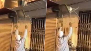 Cat Rescued by Elderly Man From Rooftop of Shop, Adorable Video Wins Hearts on the Internet