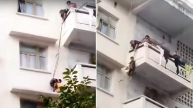 Grandma Dangles 7-YO Grandson From 50-Feet-High Balcony by Rope to Rescue Her Trapped Cat, Watch Viral Video