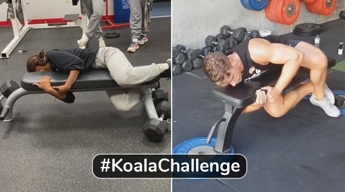 Australia Bushfire Donations: Viral Koala Challenge Resurfaces on the Internet, This Time to Raise Money for Wildfire Victims (Watch Videos) Australia Bushfire Donations: Viral Koala Challenge Resurfaces on the Internet, This Time to Raise Money for Wildfire Victims (Watch Videos)