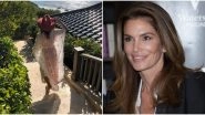 Supermodel Cindy Crawford Hits the Miami Beach in a Green Bikini and Multi-Coloured Kaftan (View Pic Inside)