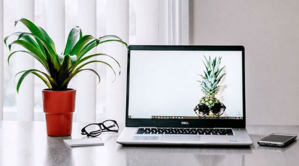 Small Plants on Your Work Desk Can Reduce Stress Levels, Says Study