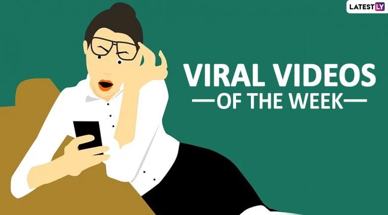 From Ukrainian TV News Reporter to Mysterious Creature Spotted in China, Watch 7 Videos of the Week