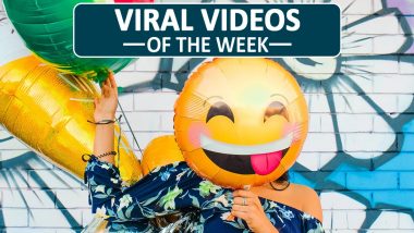 Viral Videos of the Week: From NYC Toddler Besties Maxwell and Finnegan With Face Masks On to ‘Charlie Bit My Finger’ Siblings, Watch 7 Clips That Spread Joy on the Internet