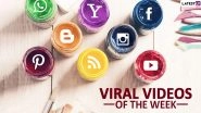 Viral Videos of the Week: Google 3D Animals to Dalgona Coffee, 7 Trends and Clips That Shows How Netizens Are Spending Their Quarantine