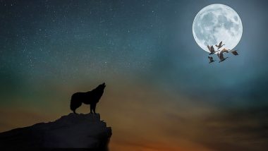 Wolf Moon 2020 Live Streaming Today: How to Watch January Full Moon Coinciding With Penumbral Lunar Eclipse (Chandra Grahan) in India?