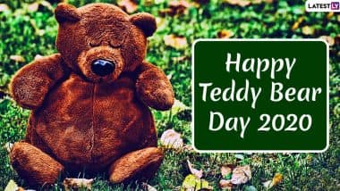 Download Cute Teddy Bear With Bag Wallpaper