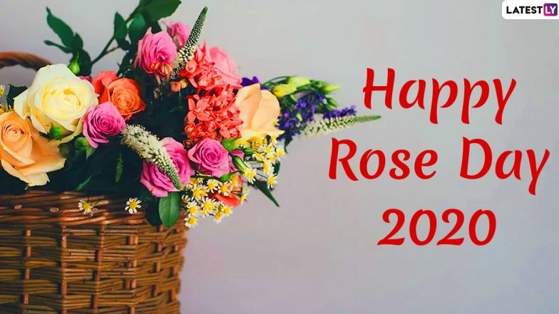 Rose Day 2020 Greetings & Images: WhatsApp Stickers, Messages, GIFs, Photos, SMS and Romantic Quotes on the First Day of Valentine Week to Your Loved One