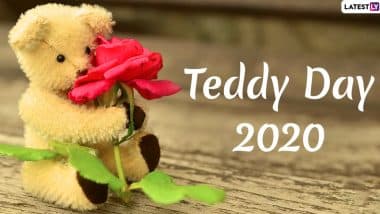 teddy day sticker