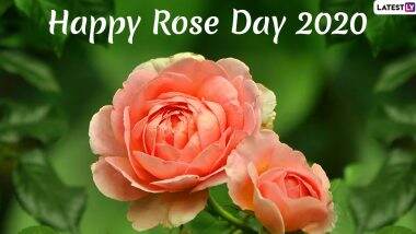 Rose Day 2020 HD Images and Wallpapers for Wife & Husband: WhatsApp Stickers, GIF Greetings Wishes and Quotes on Roses to Send to Your Partner