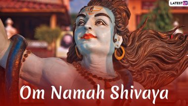Mahashivratri 2020 Images and Greetings: Send WhatsApp Stickers, Mahadev  Photos, GIFs, Facebook Messages and Wishes on the Auspicious Night of Lord  Shiva | 🙏🏻 LatestLY