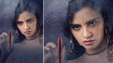 Cookie: Bollywood Succeeds in Bringing Another Horror Drama, Which Is Scaring Even in Daylight