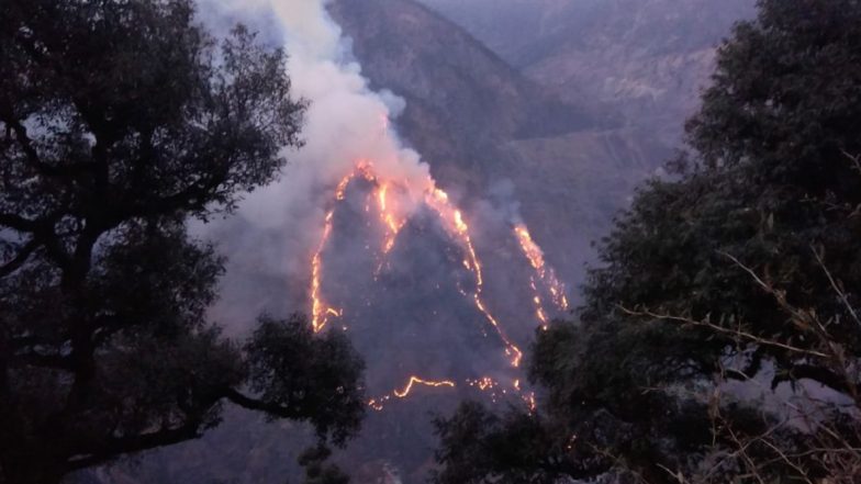 Forest Fire in Himachal Pradesh: Massive Blaze Engulfs Jungle in Chaura Area of Kinnaur District