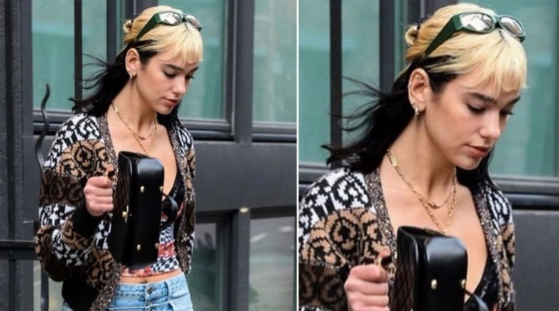 Singer Dua Lipa Calls Her New Hairstyle an Accident