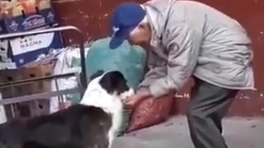 Elderly Man Helps Dog Drink Water, Heartwarming Video Goes Viral