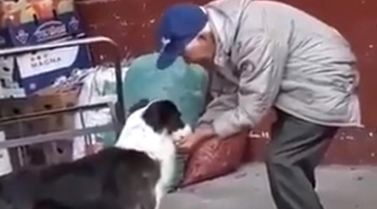 Elderly Man Helps Dog Drink Water, Heartwarming Video Goes Viral Elderly Man Helps Dog Drink Water, Heartwarming Video Goes Viral