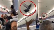 Go Air Flight Bound to Jaipur Gets a Pigeon On-board! Flight Delayed by 30 Minutes (Watch Viral Video)