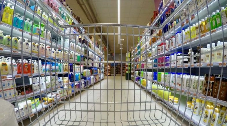 Mom Prepares for Coronavirus Taking Inspiration from Zombie Movies!