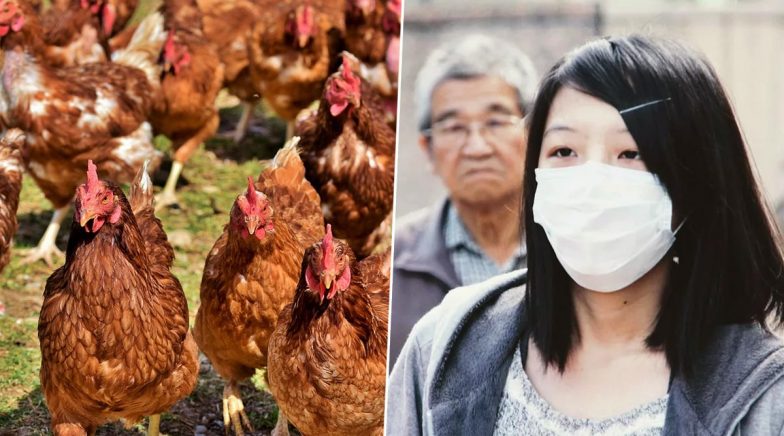 H5N1 Bird Flu Outbreak Reported In China Amidst The Coronavirus Crisis ...