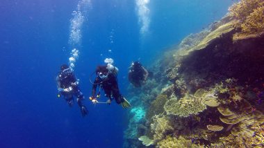 SS Cotopaxi, a Ship Believed to Have Vanished in the Bermuda Triangle Found After 95 Years