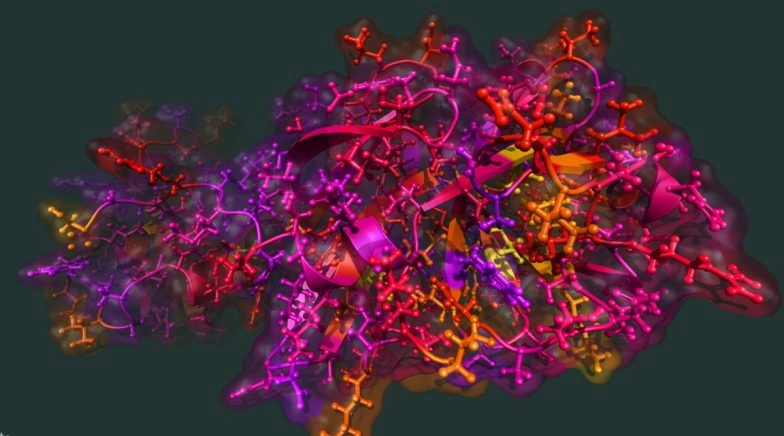 Coronavirus Crisis Latest Update: First Death Outside China Recorded; Safety Tips To Keep in Mind to Fight Novel Coronavirus (2019-nCoV)
