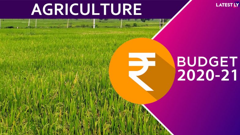 Agriculture Budget 2020-21: Nirmala Sitharaman Allocates Rs 2.83 Lakh Crore, Proposes Doubling Farmers’ Income by 2022 Under ‘Aspirational India’ Theme