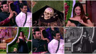 Bigg Boss 13: Mahira Sharma Hammers Paras Chhabra's Skull, Says He Is Her 'Raaste Ka Kaanta' To Win The Trophy (Watch Video)