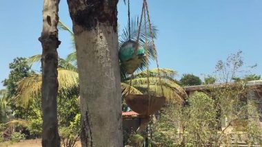 Karnataka School Children Make Food Stop for Birds And Squirrels (See Pictures)