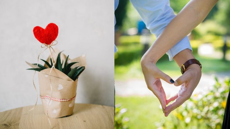 On Valentine's Day, Lovebirds in Patna May Exchange 'Pyaar Ka Paudha'