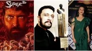 Dadasaheb Phalke Awards 2020: Hrithik Roshan Bags Best Actor, Super 30 Wins Best Film, Kiccha Sudeep and Divyanka Tripathi Take Home Major Honours&nbsp;