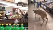 Deer Runs Through Grocery Store in Indiana Startling Shoppers, Video Goes Viral