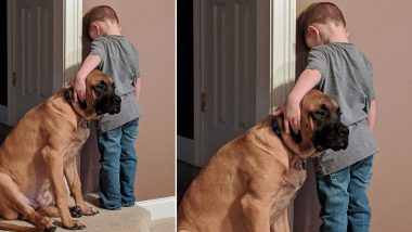 Photo of Dog Joining Boy During Timeout Wins The Heart of Netizens!