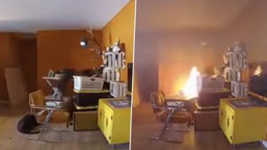 Dog Knocks Over Ironing Board And Starts Fire at Home in New Mexico (Watch Video)