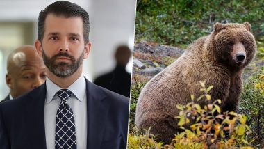 Donald Trump Jr. Granted Permission to Hunt Alaska Grizzly Bear For $1,160, Animal Lovers Furious