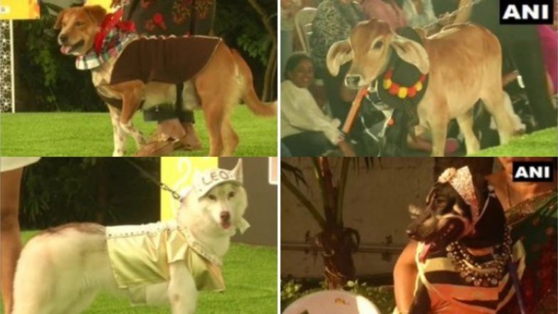 PAW-Dorable! Dressed Up Pets Take Part in Chennai Pet Fashion Show (View Photos)