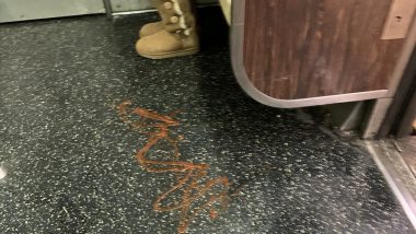 Pervaiz Shallwani, a Journalist, Uses Ketchup to Mark Territory on New York Subway Train (See Pic)
