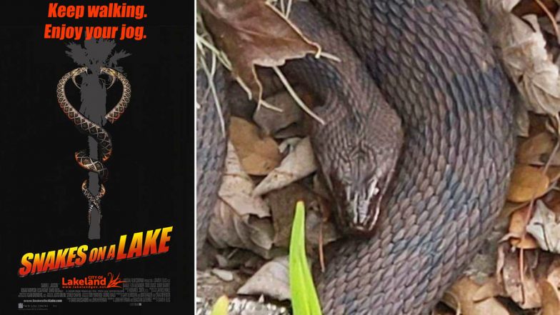 Snake Sex: Mating Season of Serpents Prompts Closure of Florida Park