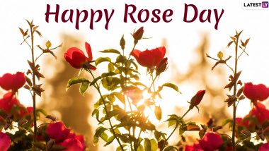 Happy Rose Day 2020 Wishes and Messages: WhatsApp Stickers, Rose GIF Images, Greetings and SMS to Send Your Loved One This Valentine Week