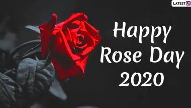 Happy Rose Day 2020 Images & HD Wallpapers For Free Download Online: Wish on First Day of Valentine Week With WhatsApp Stickers and Greetings